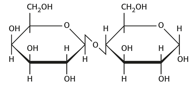 QCM_06_IM11